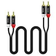 2rca to 2rca 2