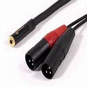 ep to 2 xlr female
