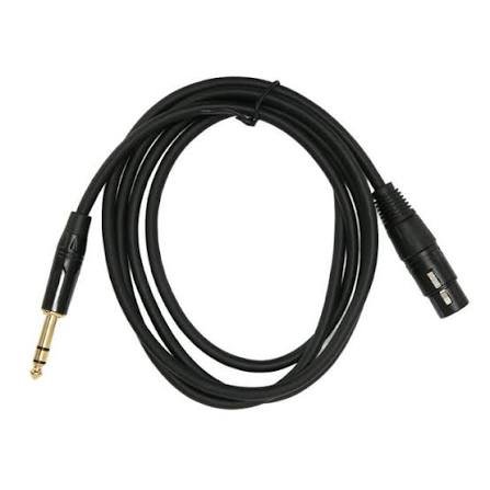 EP to XLR female