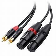 2rca to 2xlr female